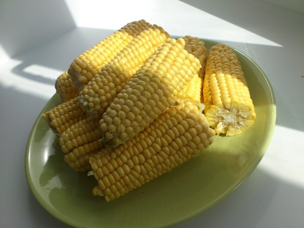 очищенная кукуруза